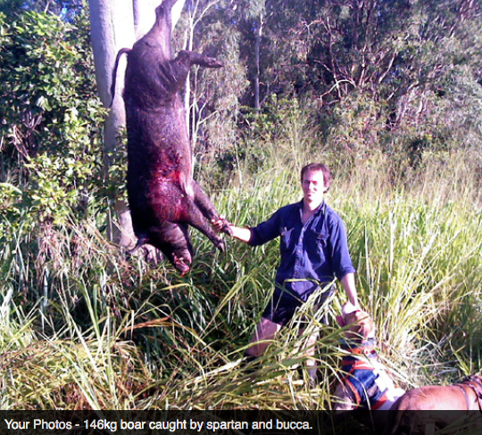 Screen Shot 2013-10-02 at 1.38.42 PM